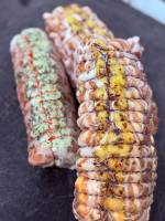 Nos prestations sur le secteur de Saint-Aunès proche de Maugio (34130)