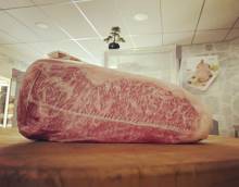 Nos prestations sur le secteur de Castelnau le Lez près de Montpellier (34)